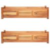 vidaXL Garden Raised Beds 2 pcs Acacia Wood 39.4"x11.8"x9.8"