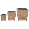 vidaXL Garden Raised Beds 3 pcs Water Hyacinth