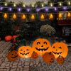 15 ft Halloween String Lights