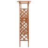 vidaXL Pergola with Gate 45.7"x15.7"x80.3" Solid Firwood