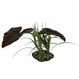 Komodo Rainforest Canopy Plant 10in