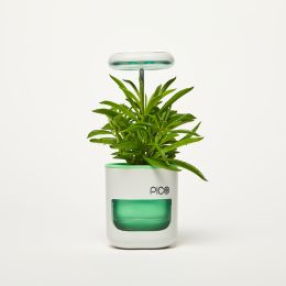 Pico Planter Indoor Garden with Plant Grow Light. This Herb Growing Kit is the Perfect Self Watering Planter. An Indoor Garden for Your Home and Offic (Color: Sea Green)