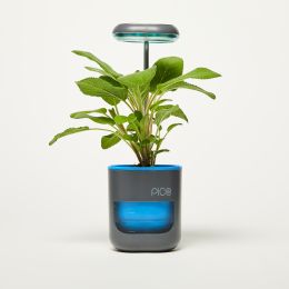 Pico Planter Indoor Garden with Plant Grow Light. This Herb Growing Kit is the Perfect Self Watering Planter. An Indoor Garden for Your Home and Offic (Color: Stone Blue)